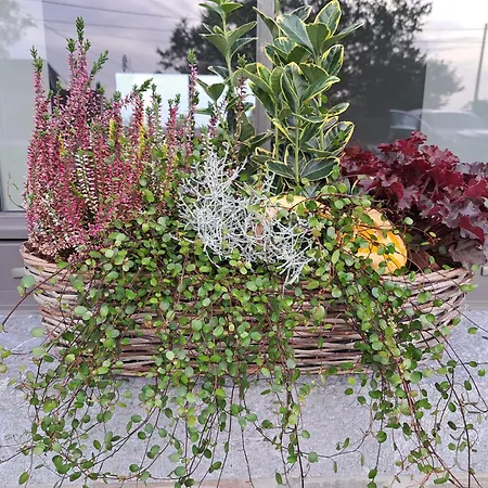 Casa de Férias Le Refuge De Toine Rural 3 Epis Chimay